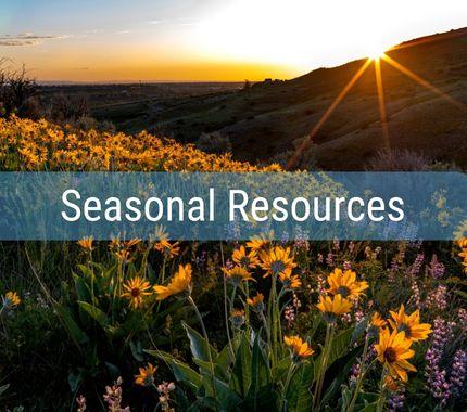 Image for seasonal resources